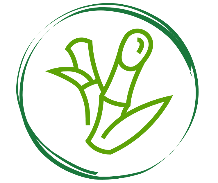 bagazo-de-cania-grupo-bioeco-desechables-biodegradables-icono