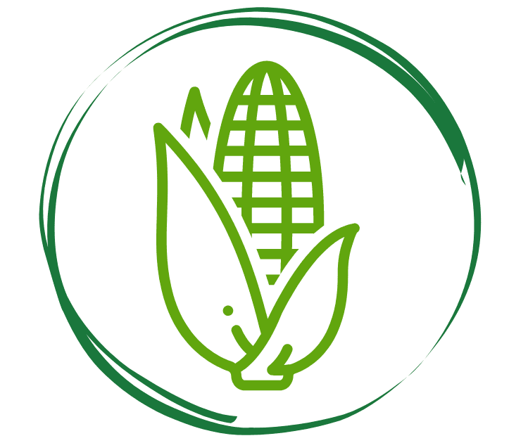 fecula-de-maiz-grupo-bioeco-desechables-biodegradables-icono